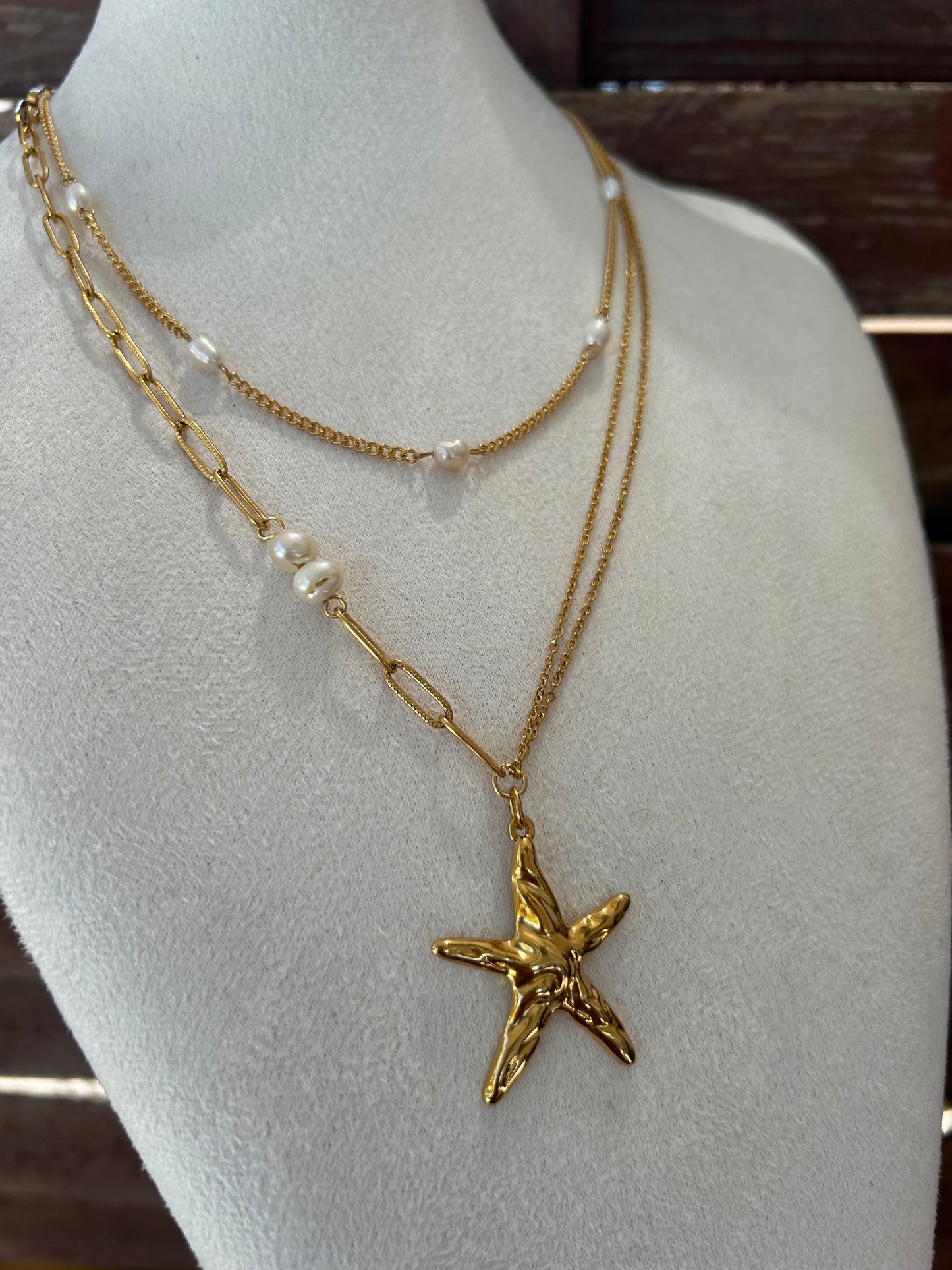 Collier SAFA en acier inoxydable DOREY