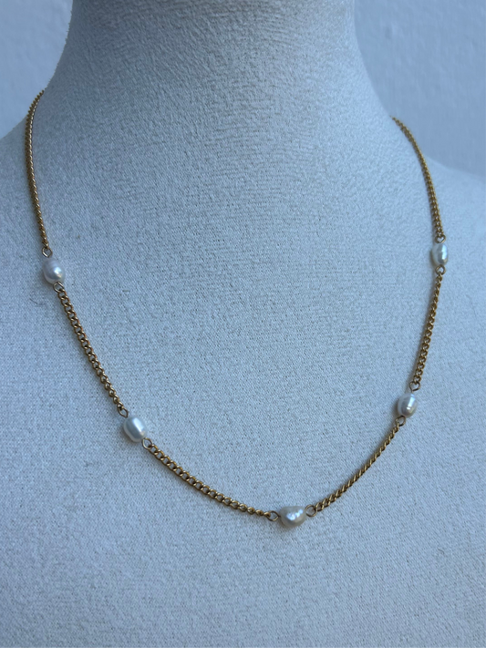 Collier SAFA en acier inoxydable DOREY